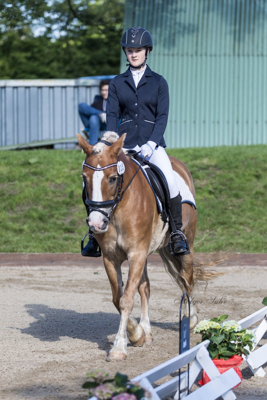 Bild 37 - Pony Akademie Turnier